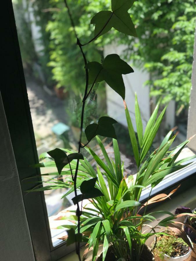 La Fourmi Home Haroue エクステリア 写真